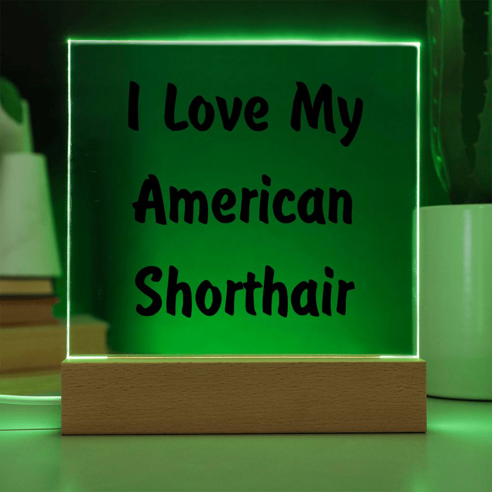 Love My American Shorthair - Square Acrylic Plaque