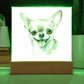 Chihuahua (Watercolor) 03 - Square Acrylic Plaque