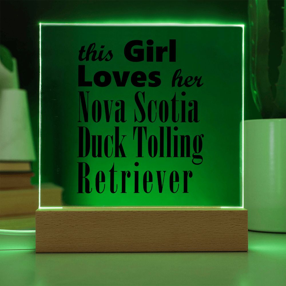 Nova Scotia Duck Tolling Retriever - Square Acrylic Plaque