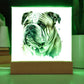 Bulldog (Watercolor) 04 - Square Acrylic Plaque