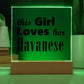Havanese - Square Acrylic Plaque