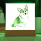 Dog Lover Collection (Watercolor) 01 - Square Acrylic Plaque