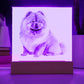 Dog Lover Collection (Watercolor) 06 - Square Acrylic Plaque