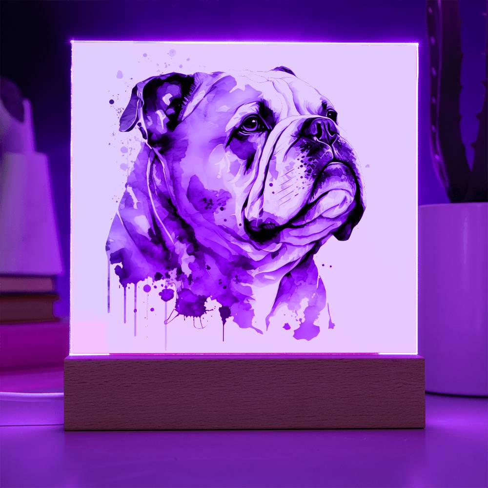 Bulldog (Watercolor) 03 - Square Acrylic Plaque