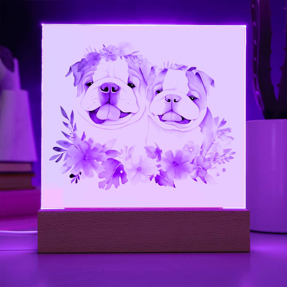 Bulldog And Flowers (Watercolor) 02 - Square Acrylic Plaque