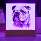 Bulldog (Watercolor) 02 - Square Acrylic Plaque