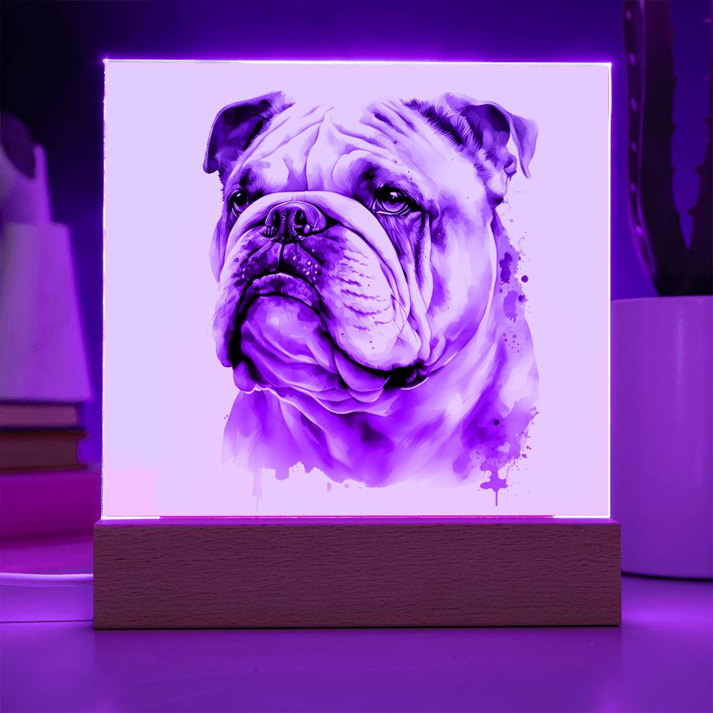 Bulldog (Watercolor) 02 - Square Acrylic Plaque