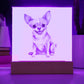 Chihuahua (Watercolor) 05 - Square Acrylic Plaque