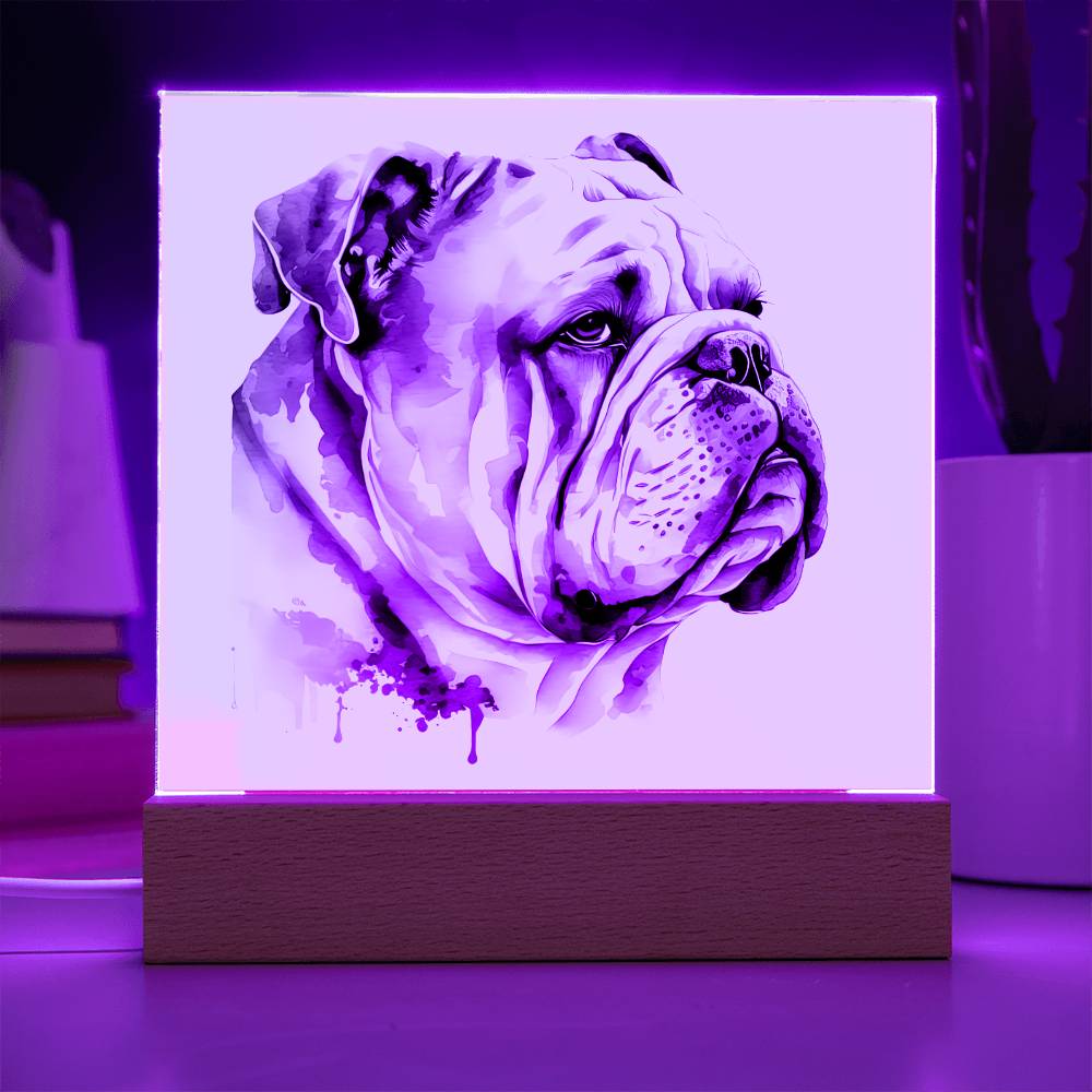Bulldog (Watercolor) 05 - Square Acrylic Plaque