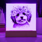 Dog And Spring Flowers (Watercolor) 05 - Square Acrylic Plaque