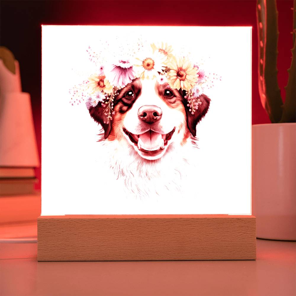 Dog And Spring Flowers (Watercolor) 09 - Square Acrylic Plaque