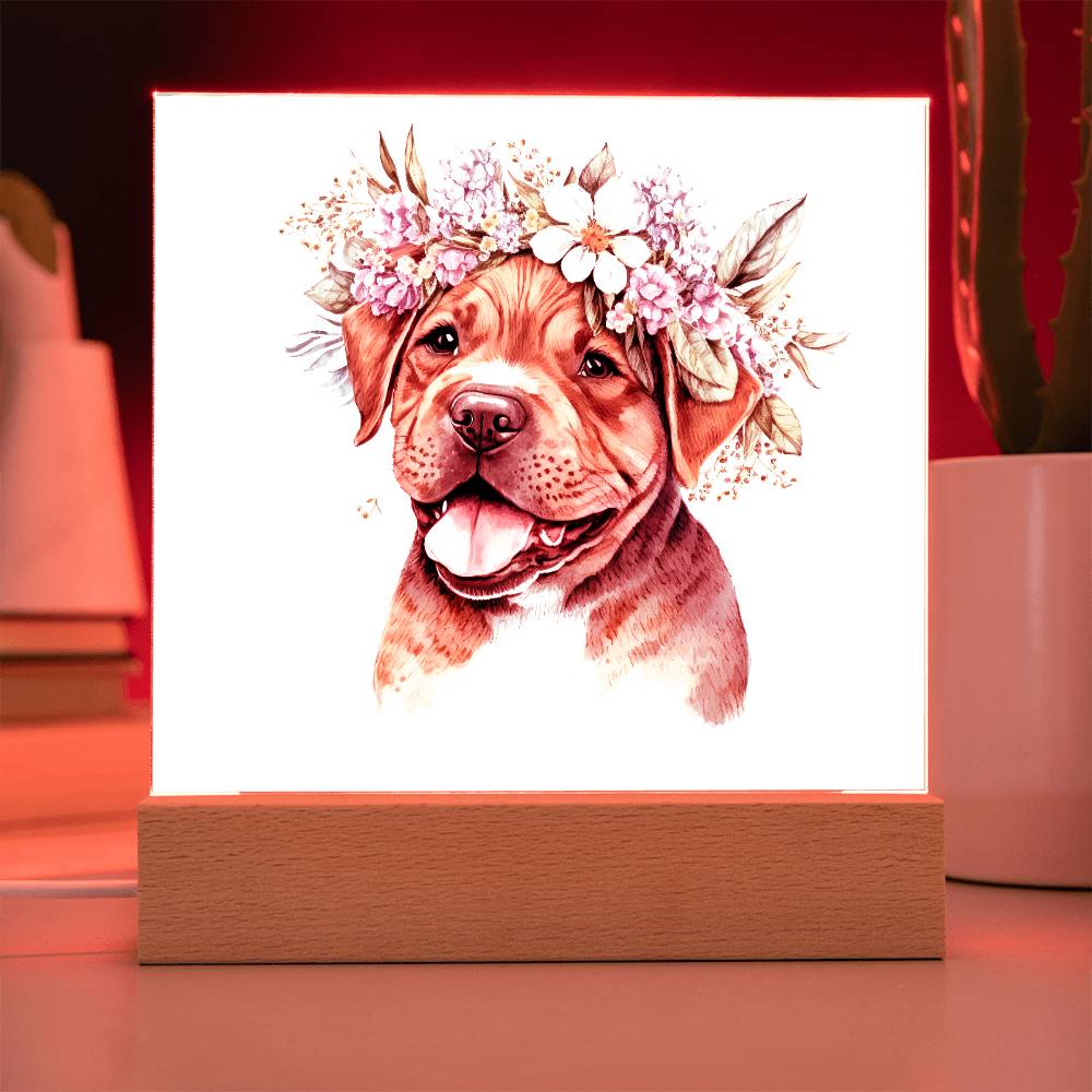 Dog And Spring Flowers (Watercolor) 04 - Square Acrylic Plaque
