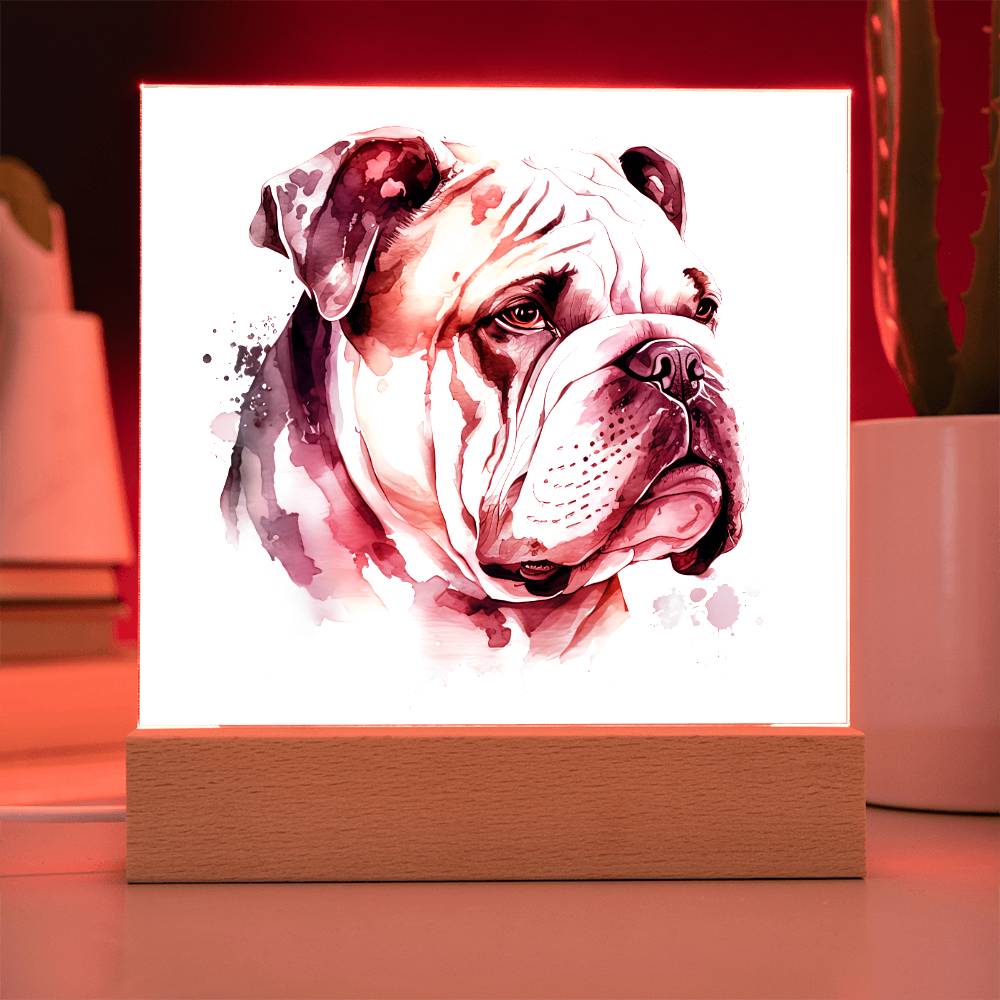Bulldog (Watercolor) 01 - Square Acrylic Plaque