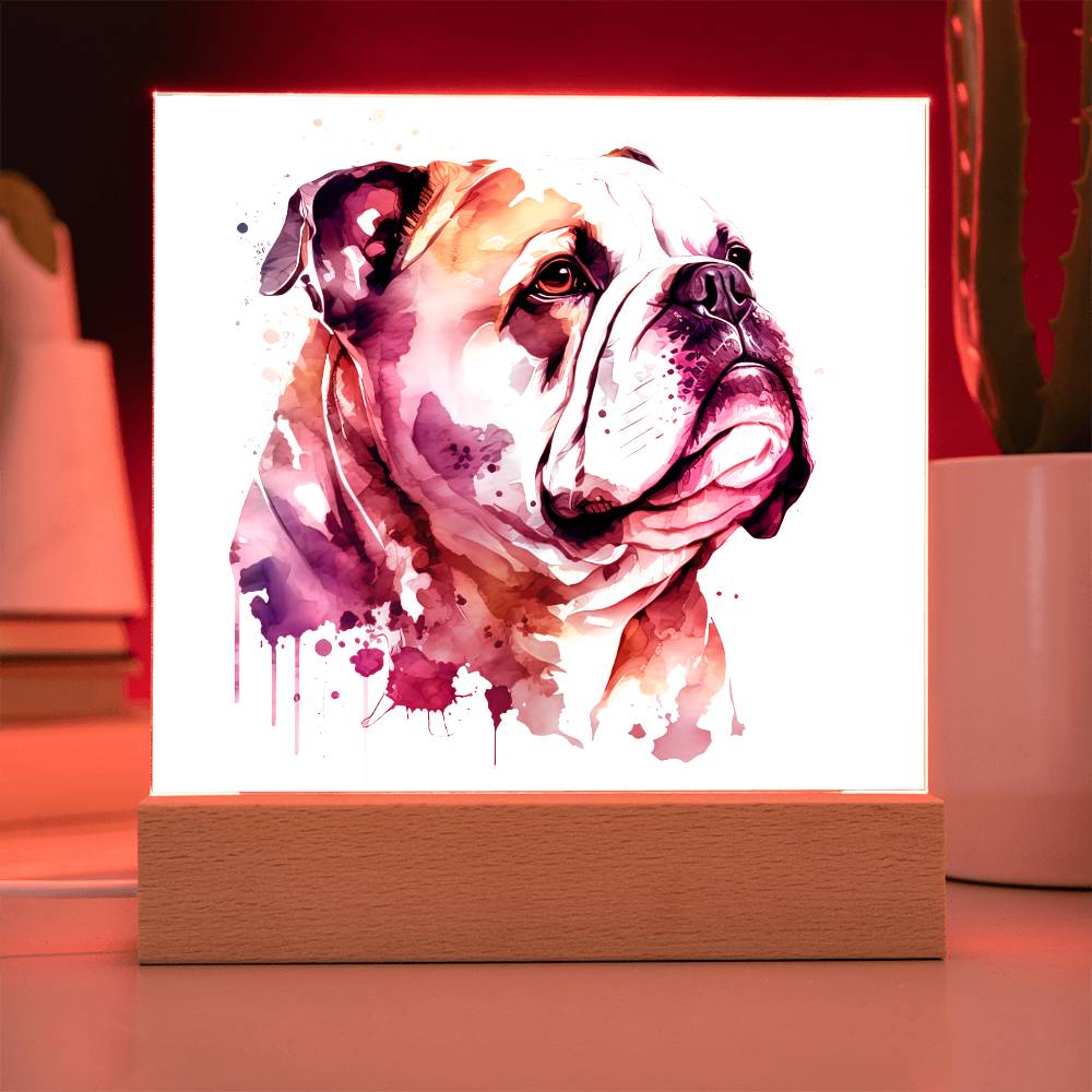 Bulldog (Watercolor) 03 - Square Acrylic Plaque