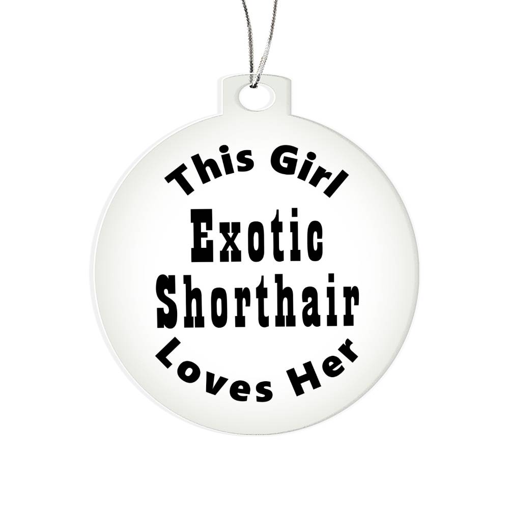 Exotic Shorthair - Acrylic Ornament
