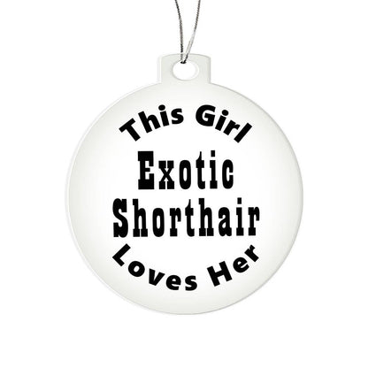 Exotic Shorthair - Acrylic Ornament