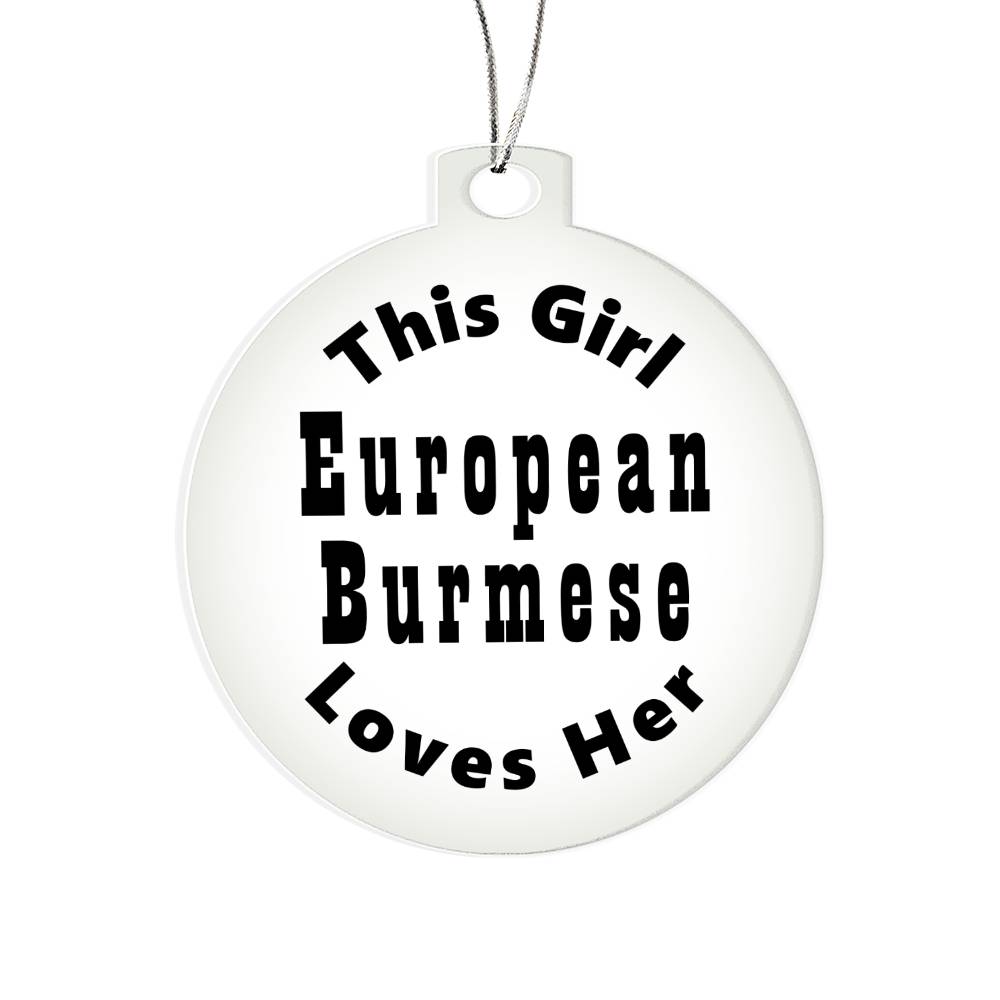 European Burmese - Acrylic Ornament