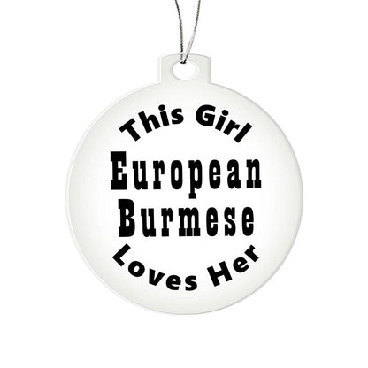 European Burmese - Acrylic Ornament