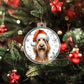 Christmas Dog - Spinone Italiano - Acrylic Ornament
