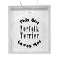 Norfolk Terrier - Acrylic Ornament