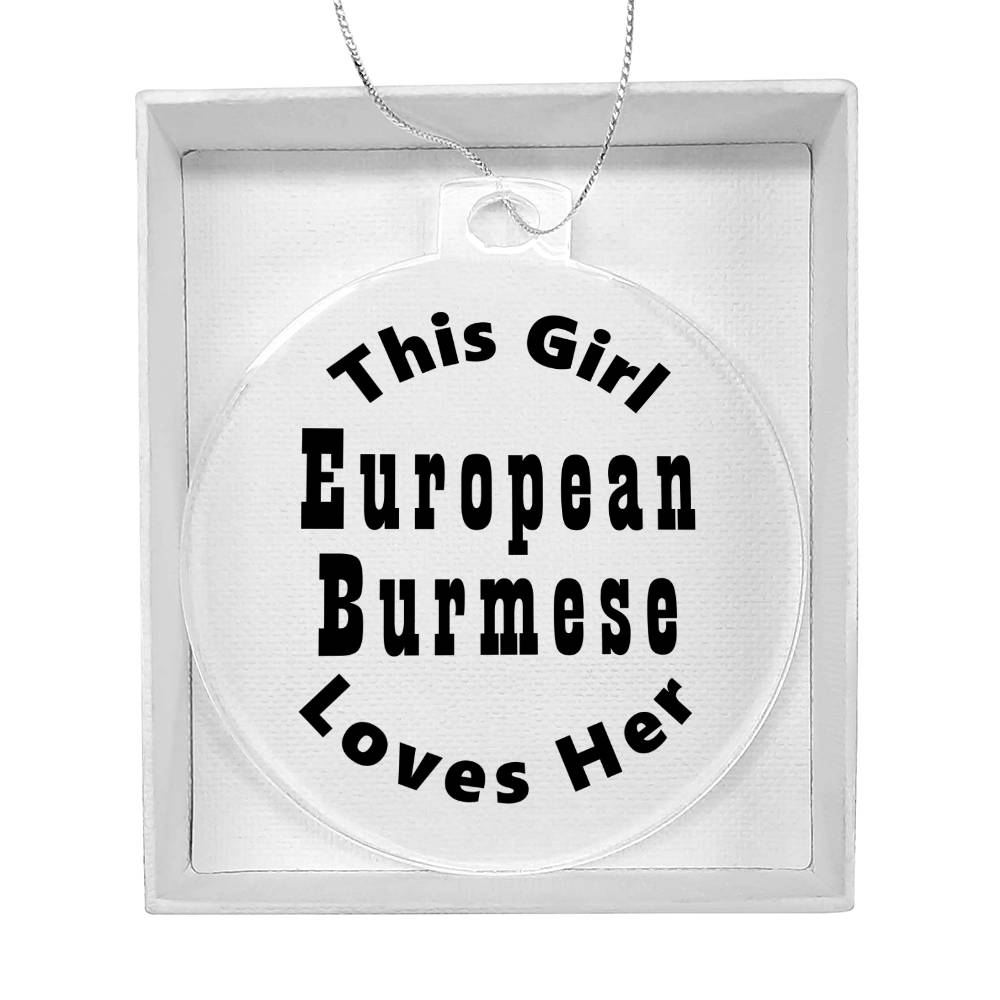 European Burmese - Acrylic Ornament