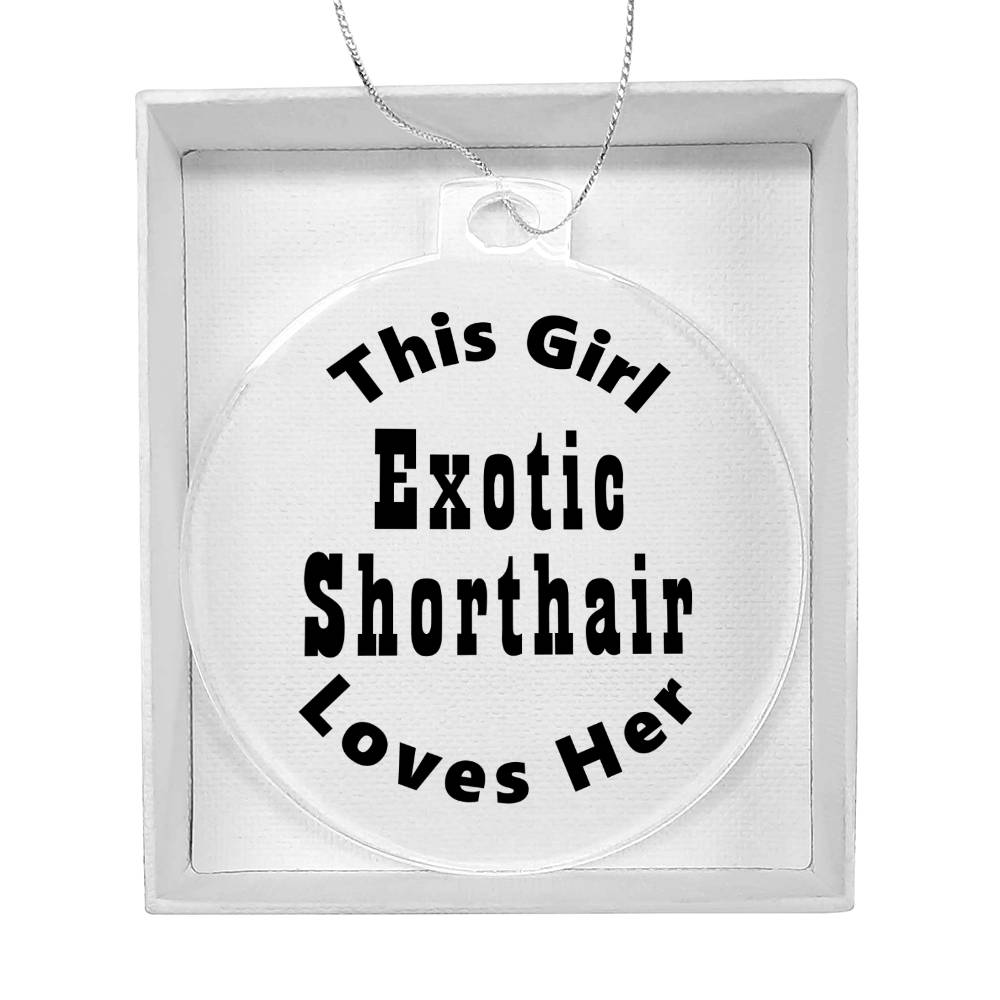 Exotic Shorthair - Acrylic Ornament