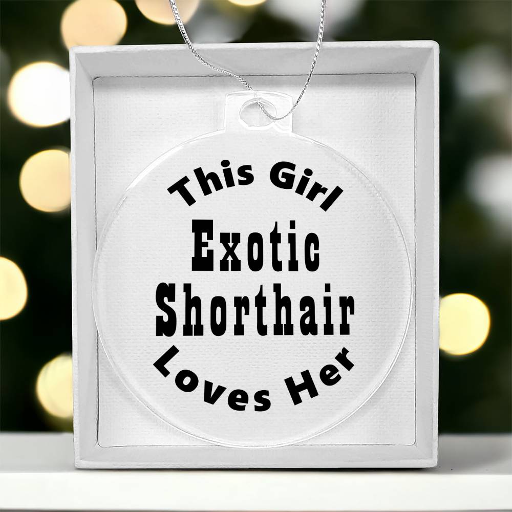 Exotic Shorthair - Acrylic Ornament