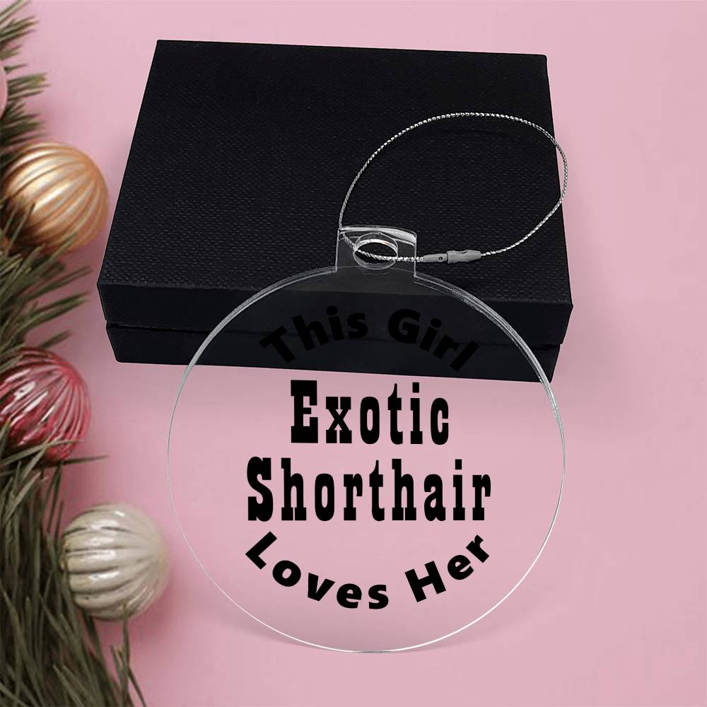 Exotic Shorthair - Acrylic Ornament
