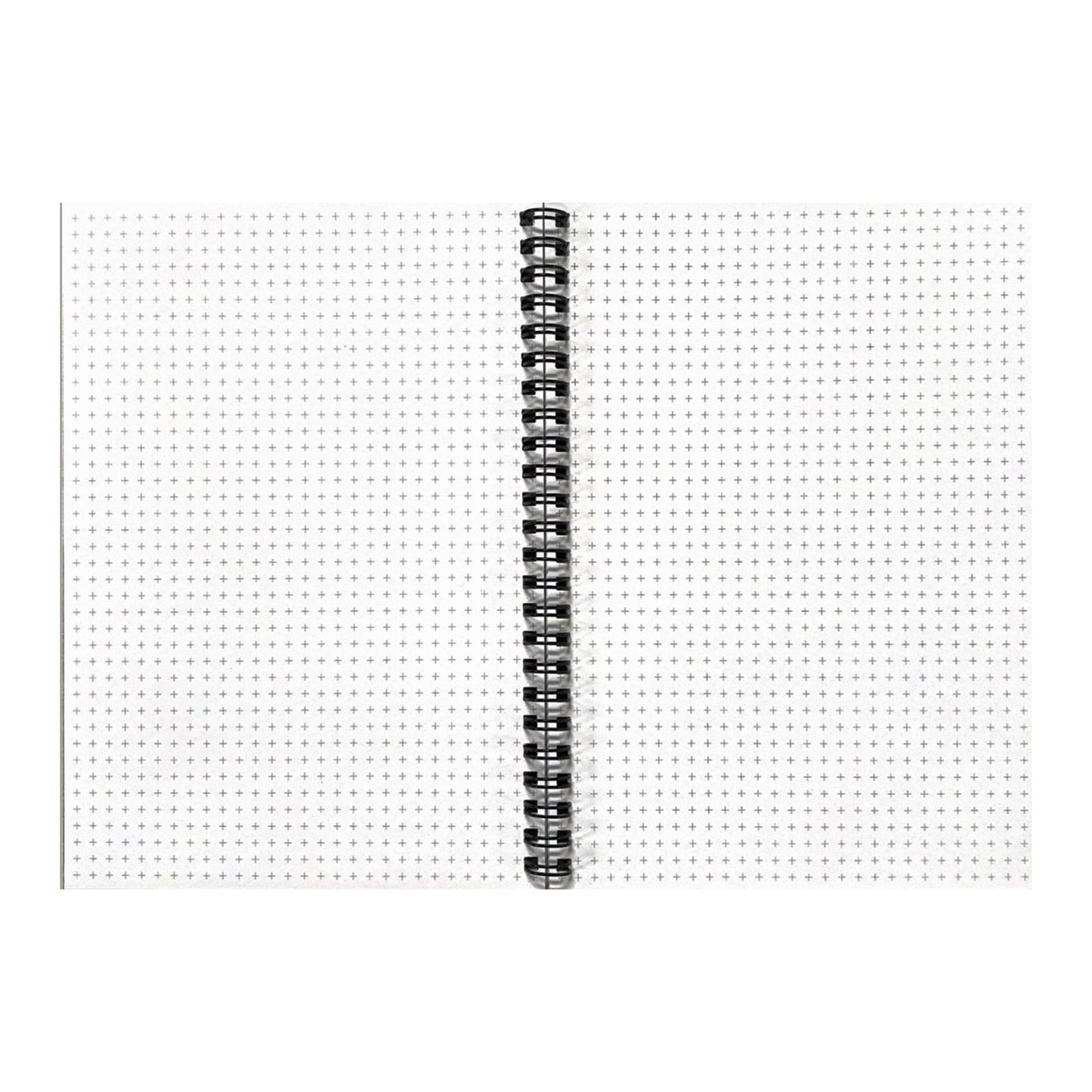 Pahonia (Belarus) - 6" x 8" Spiral Notebook