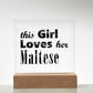 Maltese - Square Acrylic Plaque With LED Base