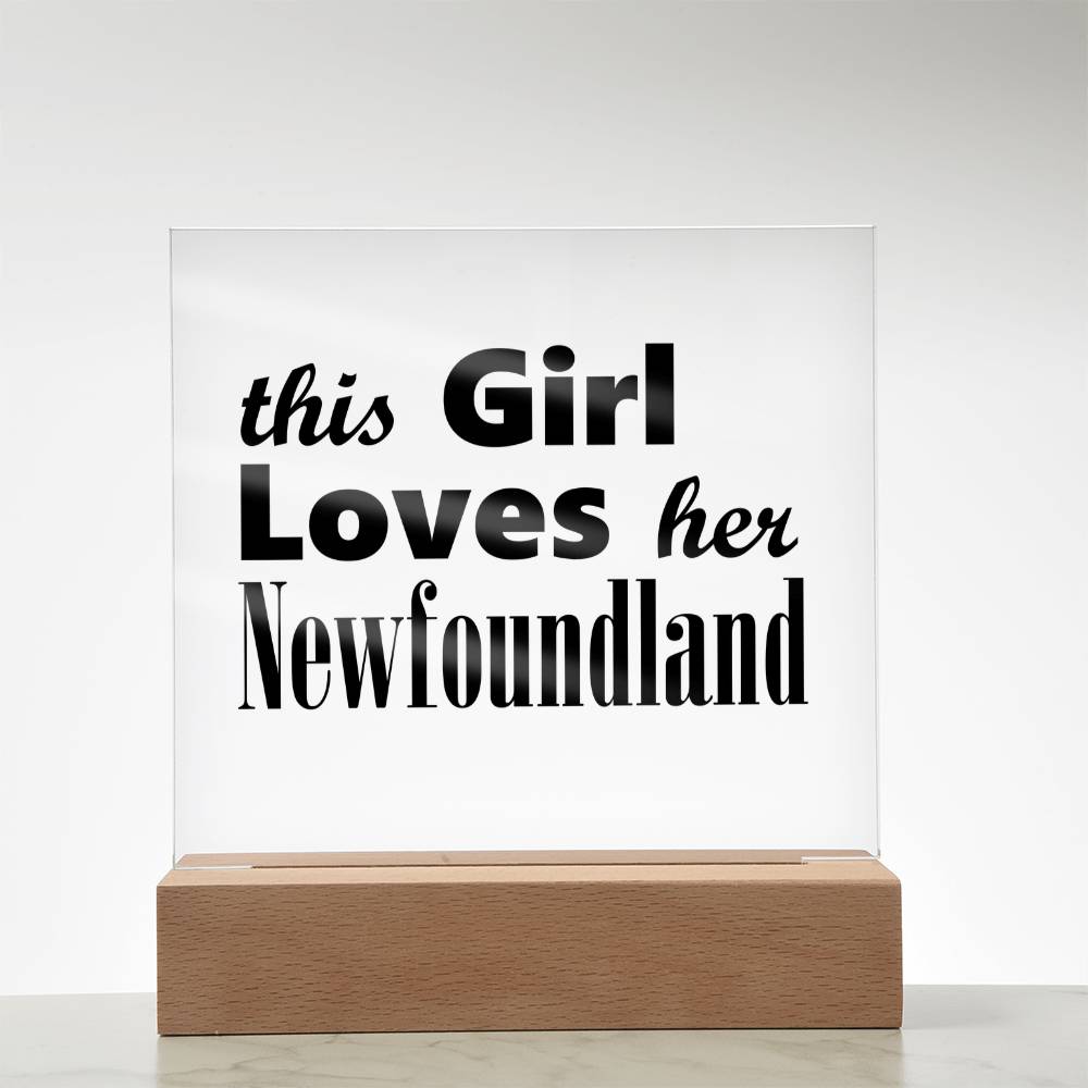 Newfoundland - Square Acrylic Plaque With LED Base