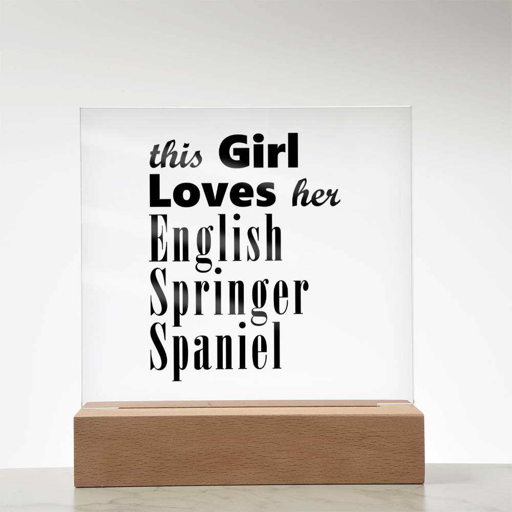 English Springer Spaniel - Square Acrylic Plaque With LED Base