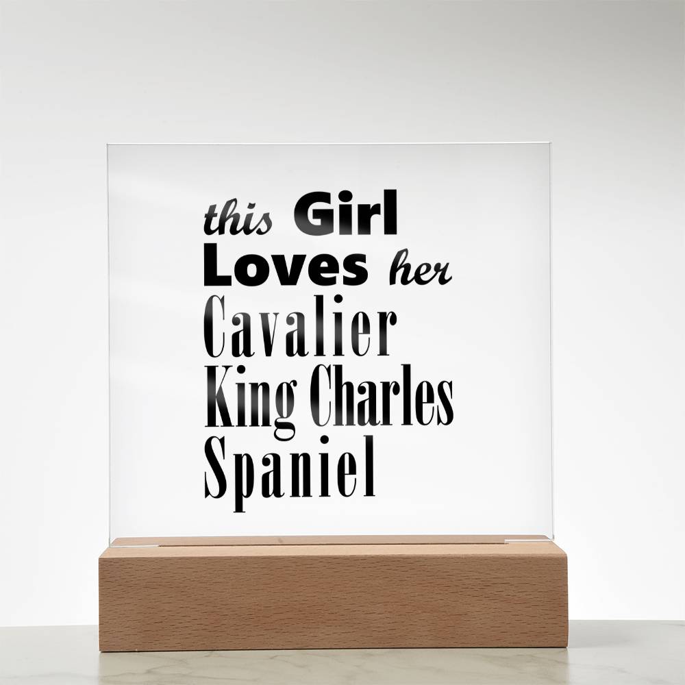 Cavalier King Charles Spaniel - Square Acrylic Plaque With LED Base