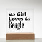Beagle - Square Acrylic Plaque With LED Base