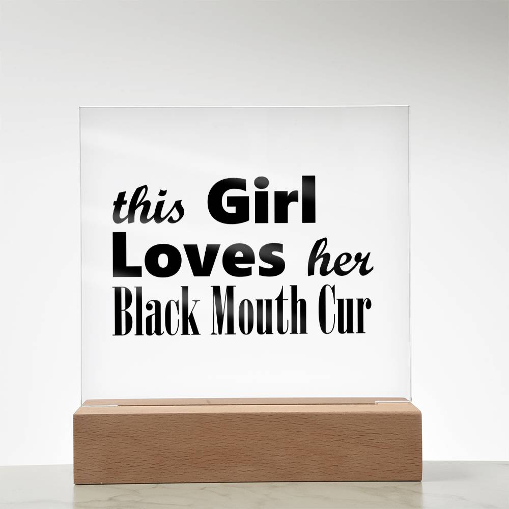 Black Mouth Cur - Square Acrylic Plaque With LED Base