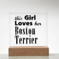 Boston Terrier - Square Acrylic Plaque With LED Base