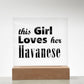 Havanese - Square Acrylic Plaque With LED Base