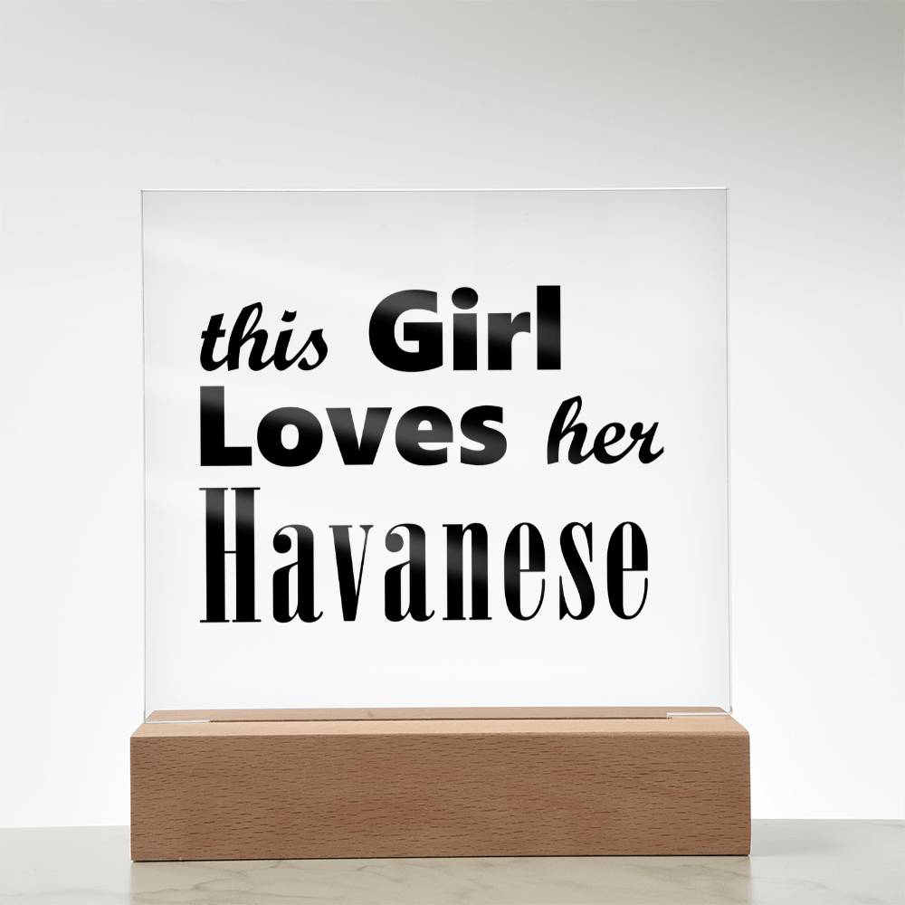 Havanese - Square Acrylic Plaque With LED Base