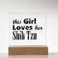 Shih Tzu - Square Acrylic Plaque With LED Base