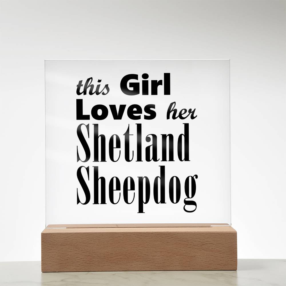 Shetland Sheepdog - Square Acrylic Plaque With LED Base
