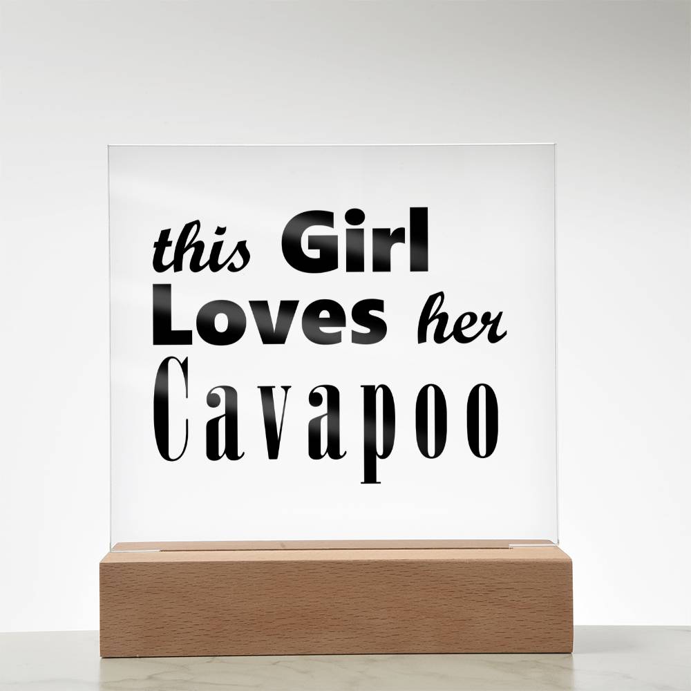 Cavapoo - Square Acrylic Plaque With LED Base