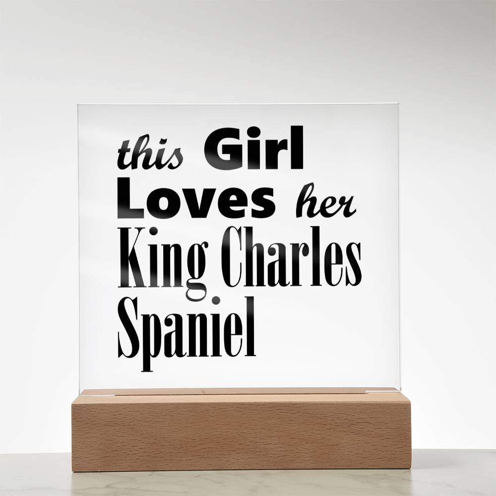 King Charles Spaniel - Square Acrylic Plaque With LED Base
