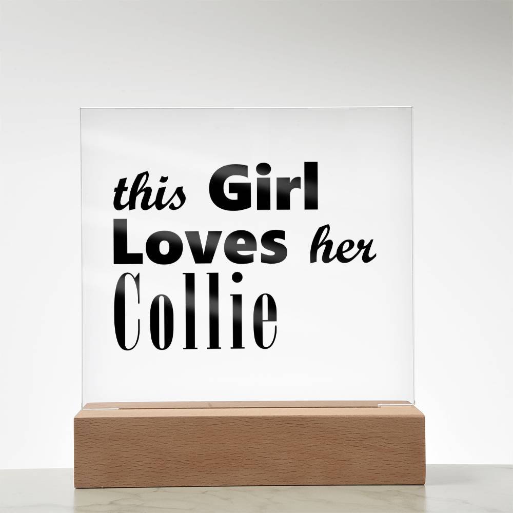 Collie - Square Acrylic Plaque With LED Base