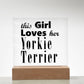 Yorkie Terrier - Square Acrylic Plaque With LED Base