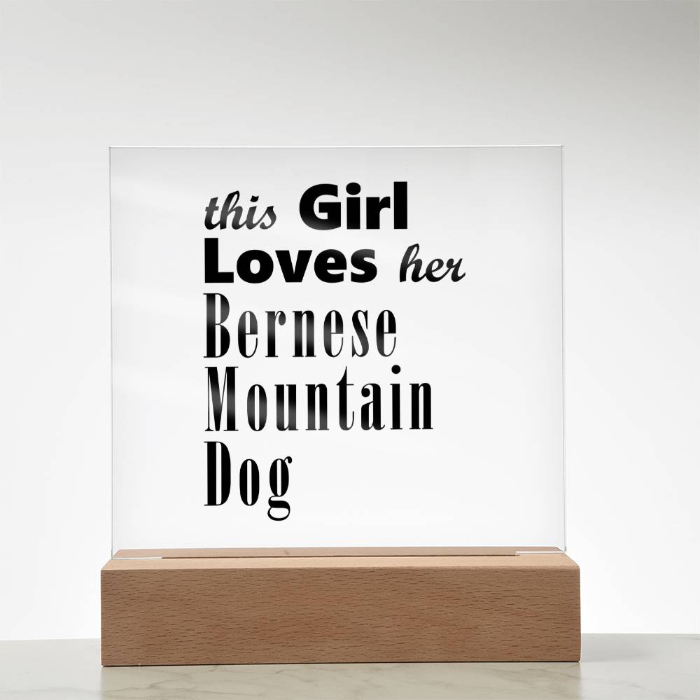Bernese Mountain Dog - Square Acrylic Plaque With LED Base