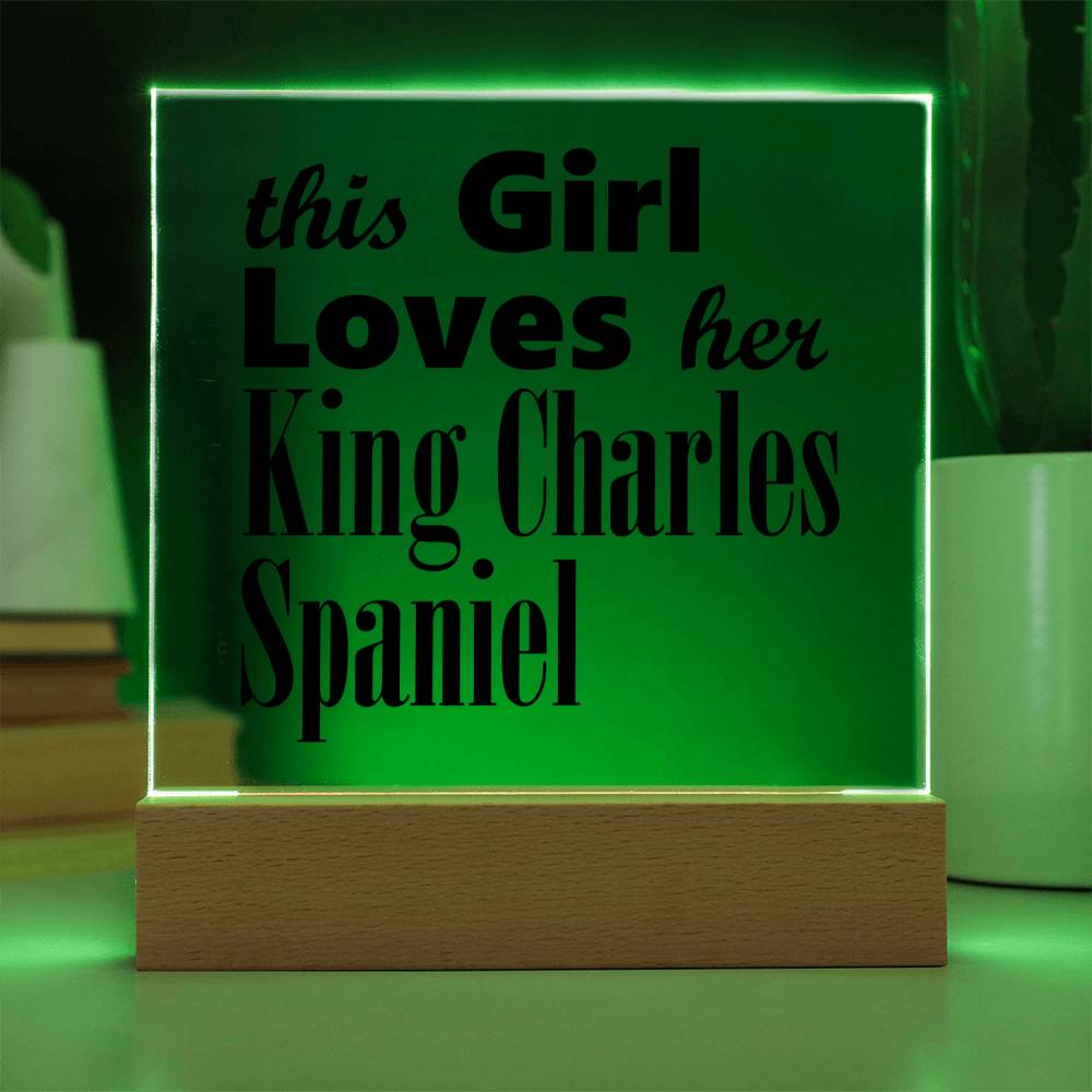 King Charles Spaniel - Square Acrylic Plaque With LED Base
