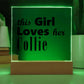 Collie - Square Acrylic Plaque With LED Base