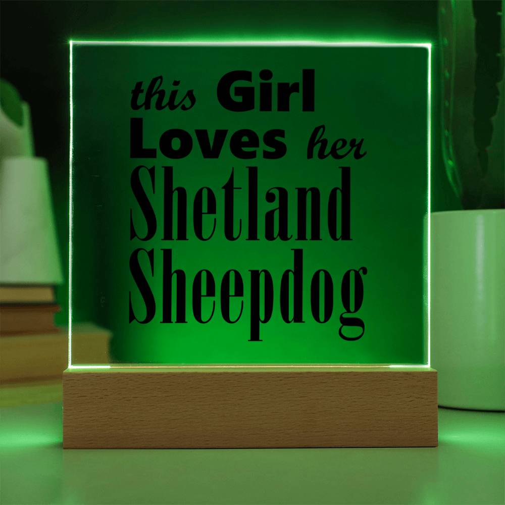 Shetland Sheepdog - Square Acrylic Plaque With LED Base