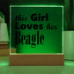 Beagle - Square Acrylic Plaque With LED Base