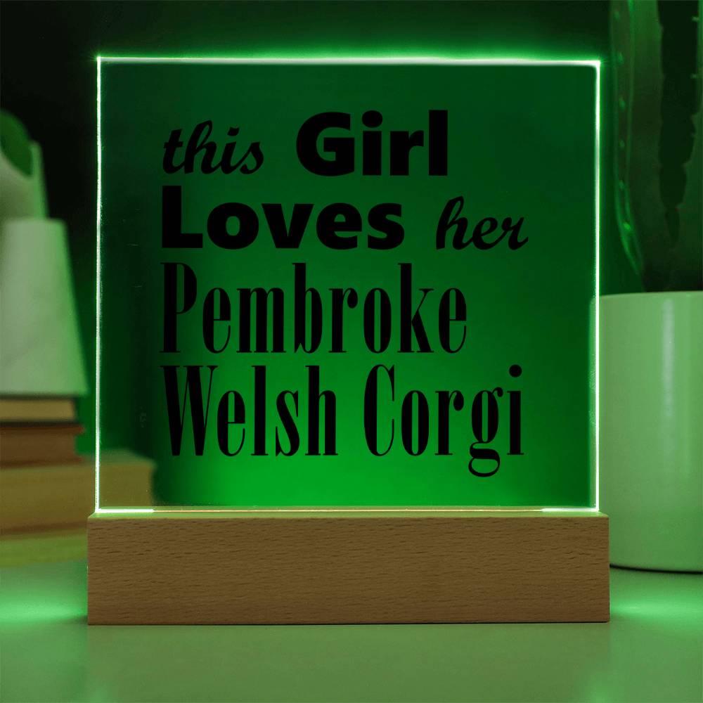 Pembroke Welsh Corgi - Square Acrylic Plaque With LED Base